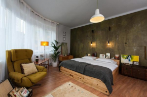 Europe Heart Apartment for 9 Budapest